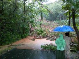 HUJAN LEBAT, BUKIT SETINGGI 200 M TURUN KEJALAN