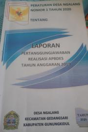 LAPORAN PERTANGGUNG JAWABAN REALISASI APBDES TAHUN ANGGARAN 2019